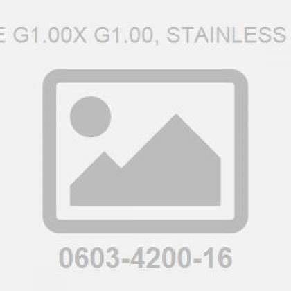 Nipple G1.00X G1.00, Stainless Steel